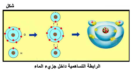 ما نوع جزئ الماء